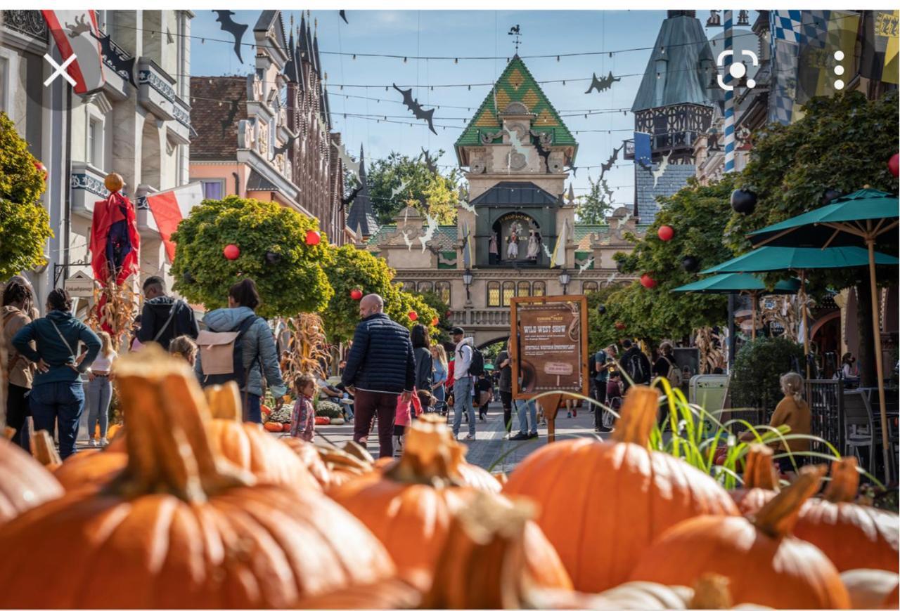 M.Home charmant dans un cadre verdoyant 15 mn d europa park et rulantika Appartement Boofzheim